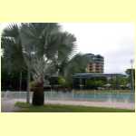 cairns0024.jpg