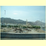 muscat0022.jpg