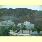 muscat0024.jpg