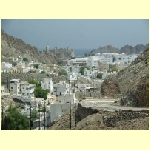 muscat0046.jpg