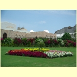 muscat0056.jpg