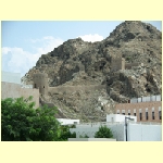 muscat0058.jpg