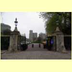windsor0009.jpg