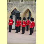 windsor0026.jpg
