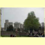 windsor0050.jpg