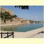 Palma14.JPG